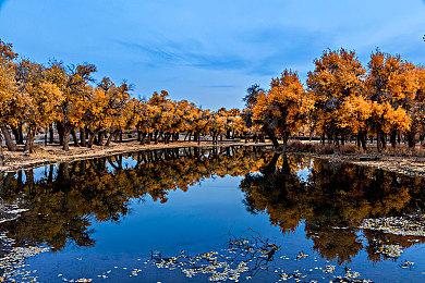 官网暗藏玄机 任天堂Switch2将支持USB键盘操作